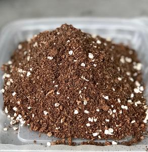 coco peat, peat moss, how to plant microgreens