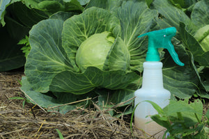 Easy Organic Homemade Pesticide Recipe