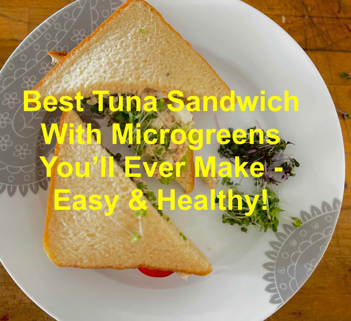 Tuna Sandwich With A Twist - Elevate Your Plate With Microgreens Magic