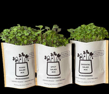 Christmas Gift Starter Kits