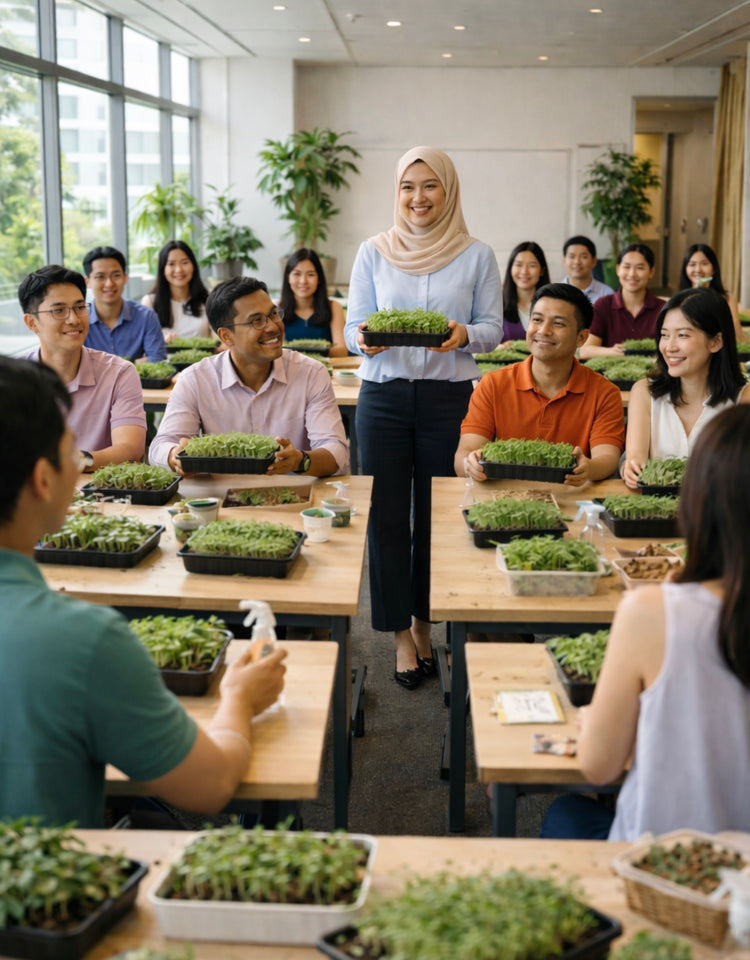 Corporate Team Building Workshop Singapore – everythinggreen.sg