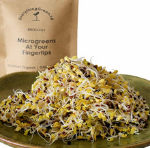 Broccoli Microgreens/Sprouting Seeds