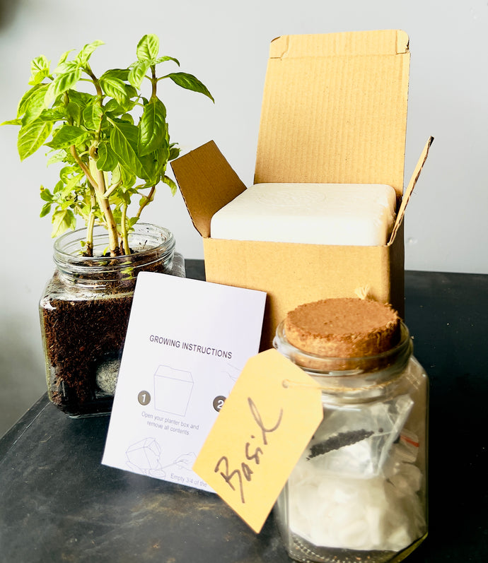 Starter Kit: My Mason Jar Herb Kit