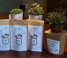 Christmas Gift Starter Kits