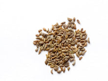Italian Parsley Organic Microgreen Seeds