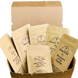 microgreens recommended by Luke Coutinho, everything green, free shipping, mothers day gift, singapore, sample microgreen packs, hamster organic food, seeds for hamsters
