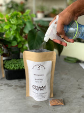 Starter Kit: Microgreens Salad Mix Grow Bag - Single Purchase