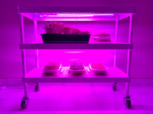 led lights for plants, plant grow lights, singapore, water resistant plant grow lights, suitable grow lights for plants, blue plant grow lights, purple plant grow lights, red plant grow lights, full spectrum plant grow lights