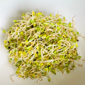 Broccoli Organic Microgreens & Sprouting Seeds