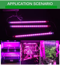 plant lights, ikea plant lights, how to grow edibles indoors, grow edible plants indoors, tomato grow lights, singapore, buy, online, lettuce grow lights, vegetable grow lights, grow lights indoor farming, singapore, buy online