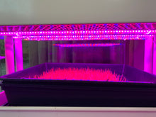 LED Water-Resistant Plant Grow Light Strip Set - For Indoor & Outdoor