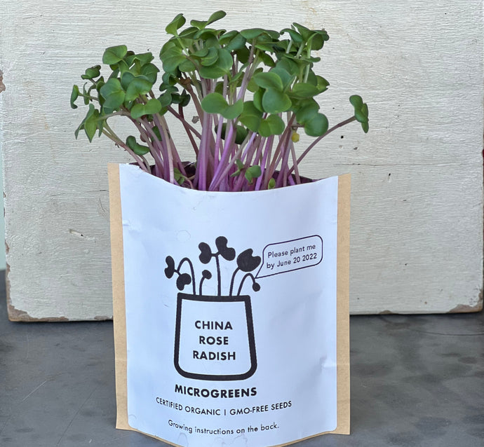 Starter Kit: Microgreens Radish Grow Bag - Single Purchase