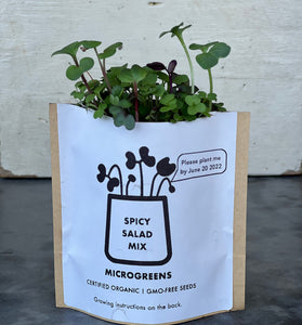 Starter Kit: Microgreens Salad Mix Grow Bag - Single Purchase